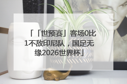 「世预赛」客场0比1不敌印尼队，国足无缘2026世界杯