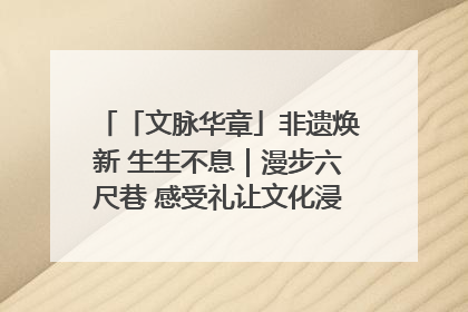 「文脉华章」非遗焕新 生生不息｜漫步六尺巷 感受礼让文化浸润的“巷”往生活