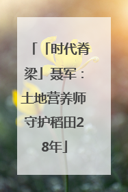 「时代脊梁」聂军：土地营养师守护稻田28年