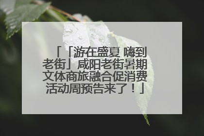 「游在盛夏 嗨到老街」咸阳老街暑期文体商旅融合促消费活动周预告来了！