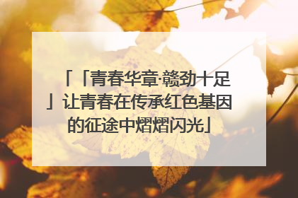 「青春华章·赣劲十足」让青春在传承红色基因的征途中熠熠闪光