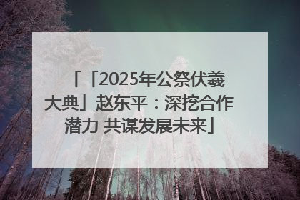「2025年公祭伏羲大典」赵东平：深挖合作潜力 共谋发展未来