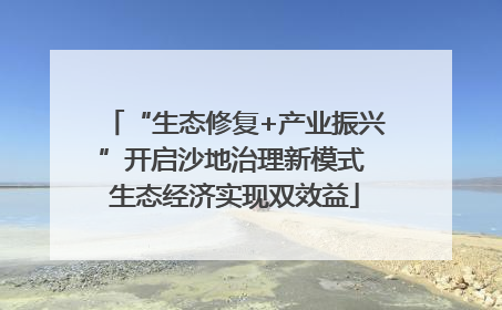 “生态修复+产业振兴”开启沙地治理新模式 生态经济实现双效益
