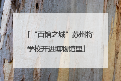 “百馆之城”苏州将学校开进博物馆里