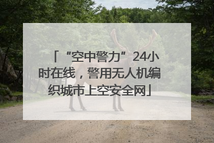 “空中警力”24小时在线，警用无人机编织城市上空安全网