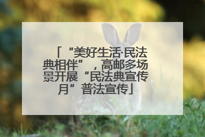 “美好生活·民法典相伴”，高邮多场景开展“民法典宣传月”普法宣传