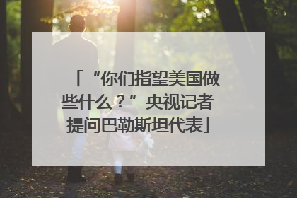 “你们指望美国做些什么？”央视记者提问巴勒斯坦代表