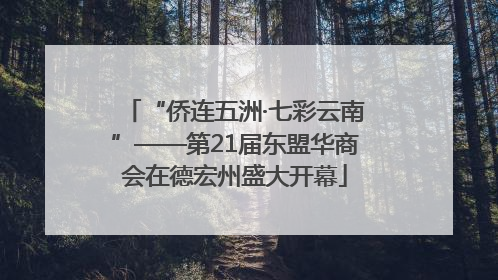 “侨连五洲·七彩云南”——第21届东盟华商会在德宏州盛大开幕