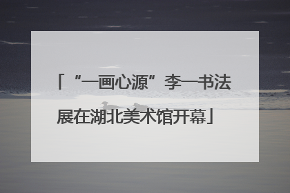 “一画心源”李一书法展在湖北美术馆开幕