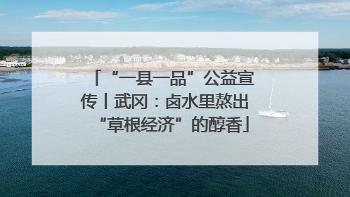 “一县一品”公益宣传丨武冈：卤水里熬出“草根经济”的醇香