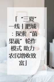 “三夏”一线丨肥城：探索“菌果蔬”轮作模式 助力农民增收致富