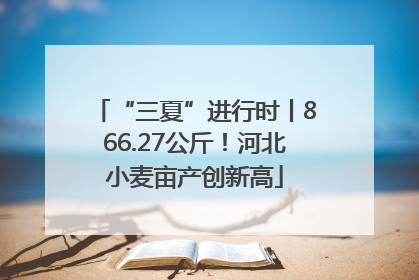 “三夏”进行时丨866.27公斤！河北小麦亩产创新高