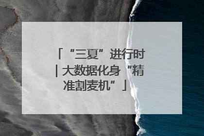 “三夏”进行时｜大数据化身“精准割麦机”