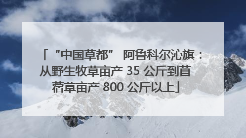 “中国草都” 阿鲁科尔沁旗：从野生牧草亩产 35 公斤到苜蓿草亩产 800 公斤以上