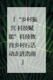 “乡村振兴 科技赋能”科技教育乡村行活动走进洛南