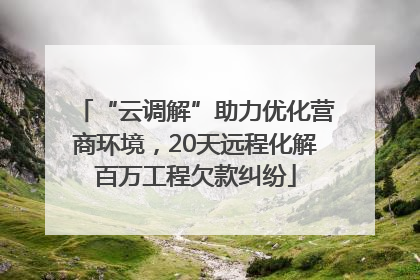 “云调解”助力优化营商环境，20天远程化解百万工程欠款纠纷