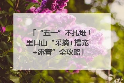 “五一”不扎堆！里口山“采摘+撸宠+露营”全攻略