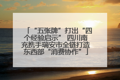 “五张牌”打出“四个经验启示” 四川南充携手瑞安市全链打造东西部“消费协作”