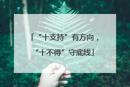 “十支持”有方向，“十不得”守底线