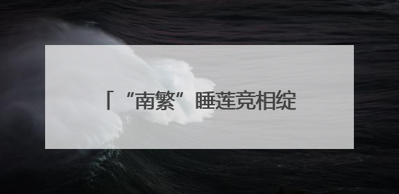 “南繁”睡莲竞相绽放 乡村振兴添色彩