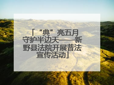 “典”亮五月 守护半边天——新野县法院开展普法宣传活动
