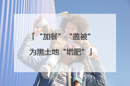 “加餐”“盖被” 为黑土地“增肥”