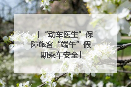“动车医生”保障旅客“端午”假期乘车安全