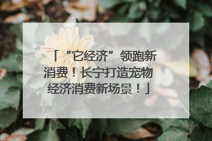 “它经济”领跑新消费！长宁打造宠物经济消费新场景！
