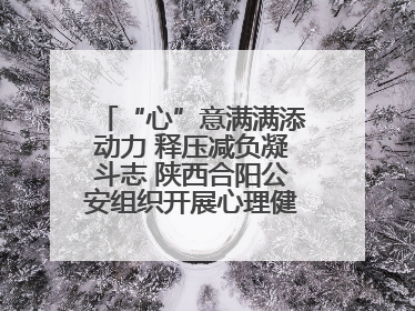 “心”意满满添动力 释压减负凝斗志 陕西合阳公安组织开展心理健康团体辅导活动