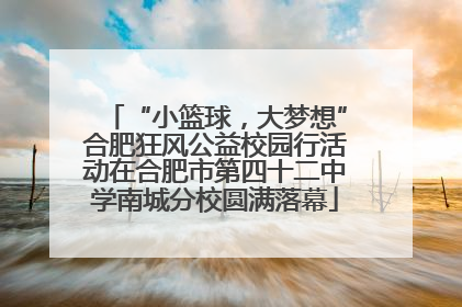 “小篮球，大梦想”合肥狂风公益校园行活动在合肥市第四十二中学南城分校圆满落幕