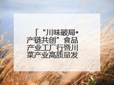 “川味破局•产链共创”食品产业工厂行暨川菜产业高质量发展座谈会举办