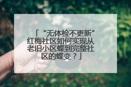 “无体检不更新”红梅社区如何实现从老旧小区蝶到完整社区的蝶变？