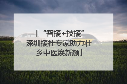 “智援+技援” 深圳援桂专家助力壮乡中医焕新颜