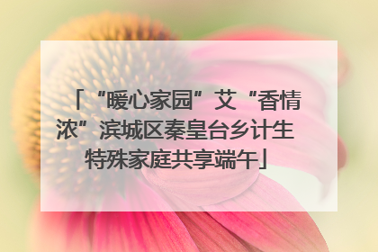 “暖心家园”艾“香情浓”滨城区秦皇台乡计生特殊家庭共享端午