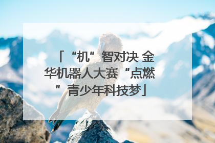 “机”智对决 金华机器人大赛“点燃”青少年科技梦