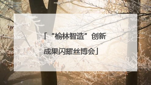 “榆林智造”创新成果闪耀丝博会