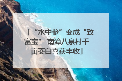 “水中参”变成“致富宝” 南漳八泉村千亩茭白喜获丰收