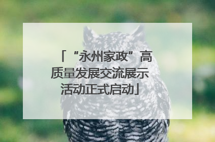 “永州家政”高质量发展交流展示活动正式启动
