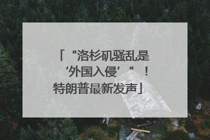 “洛杉矶骚乱是‘外国入侵’”！特朗普最新发声