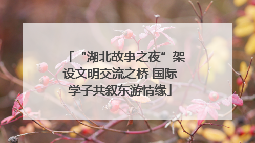 “湖北故事之夜”架设文明交流之桥 国际学子共叙东游情缘