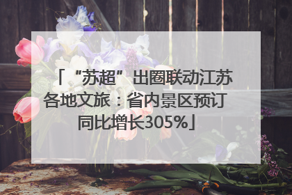 “苏超”出圈联动江苏各地文旅：省内景区预订同比增长305%