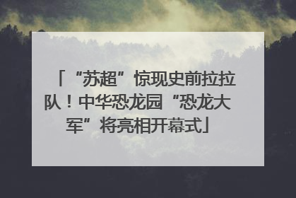 “苏超”惊现史前拉拉队！中华恐龙园“恐龙大军”将亮相开幕式