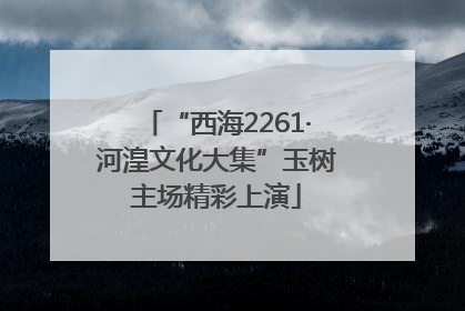 “西海2261·河湟文化大集”玉树主场精彩上演