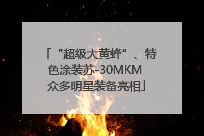“超级大黄蜂”、特色涂装苏-30MKM 众多明星装备亮相
