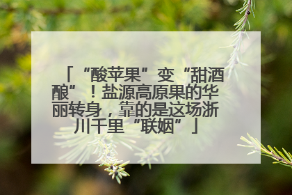 “酸苹果”变“甜酒酿”！盐源高原果的华丽转身，靠的是这场浙川千里“联姻”