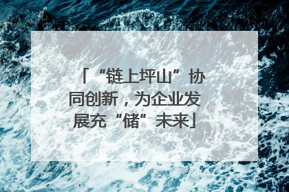 “链上坪山”协同创新，为企业发展充“储”未来