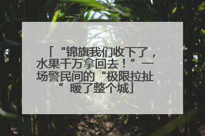 “锦旗我们收下了，水果千万拿回去！”一场警民间的“极限拉扯”暖了整个城
