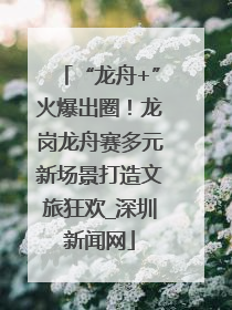 “龙舟+”火爆出圈！龙岗龙舟赛多元新场景打造文旅狂欢_深圳新闻网
