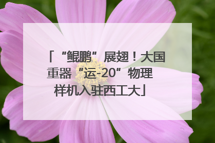 “鲲鹏”展翅！大国重器“运-20”物理样机入驻西工大