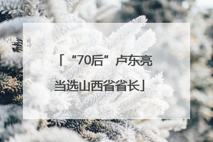 “70后”卢东亮当选山西省省长